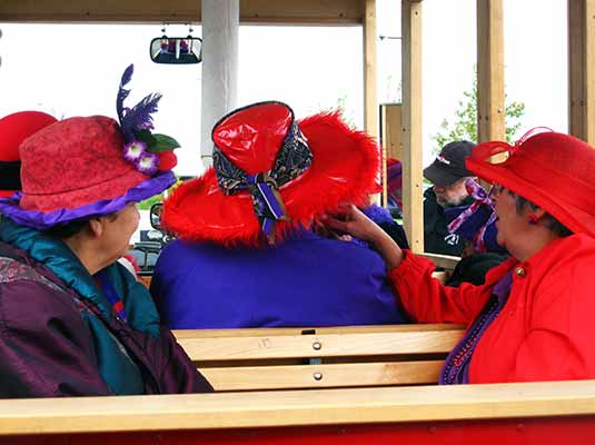 Chiropractic Temecula CA Give Love Project Red Hat Society
